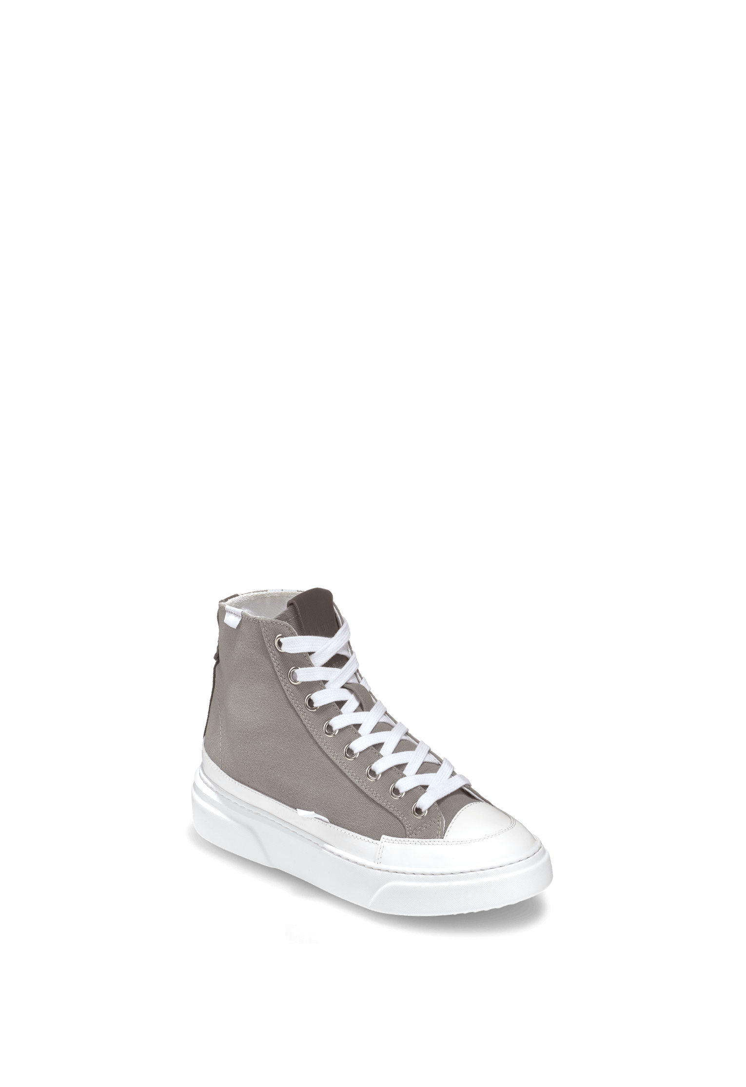 Canvas Lex High