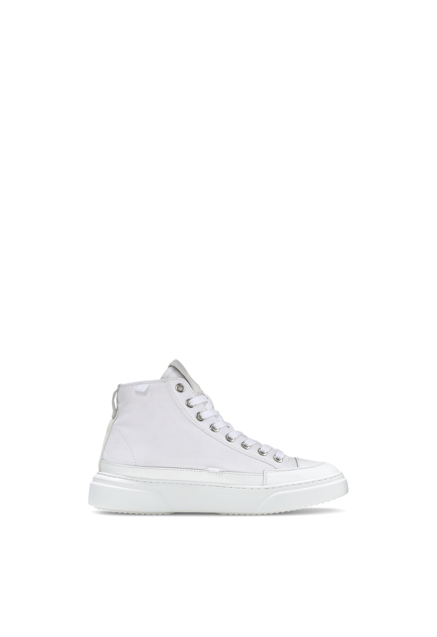 Canvas Lex High